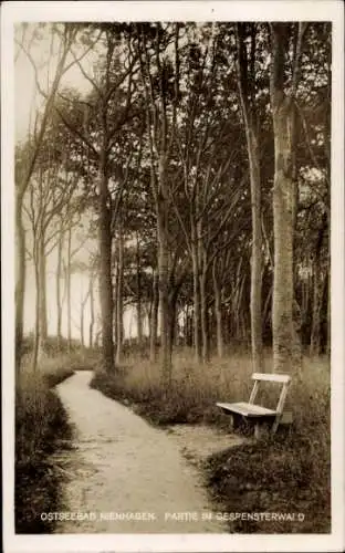 Ak Ostseebad Nienhagen in Mecklenburg, Gespensterwald, Teilansicht, Sitzbank