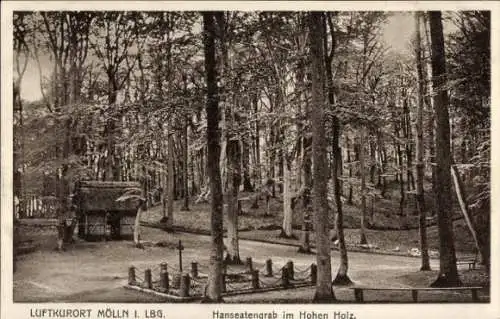 Ak Mölln im Herzogtum Lauenburg, Hohes Holz, Hanseatengrab