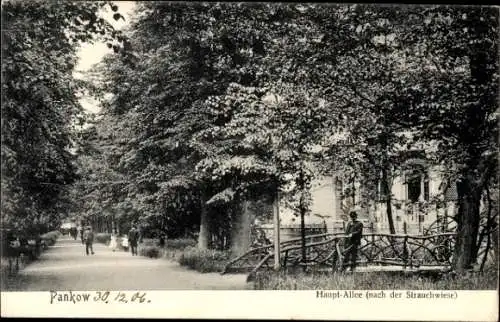 Ak Berlin Pankow, Hauptallee nach der Strauchwiese