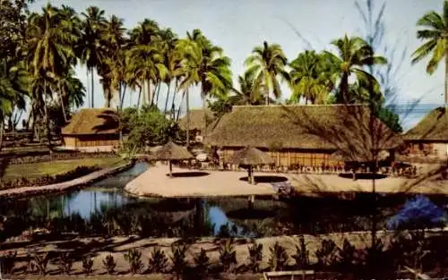 Ak Tahiti, Hotel Bel Air, Palmen