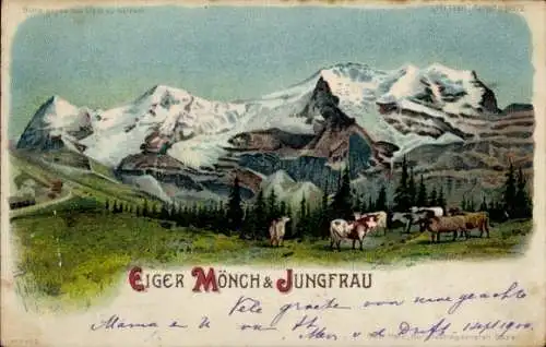 Halt gegen das Licht Litho Kanton Bern, Eiger, Mönch, Jungfrau, Rinder, Gebirge