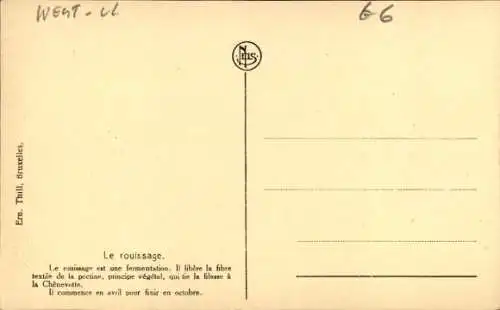 Ak-Leinanbau, Röste, Fermentation