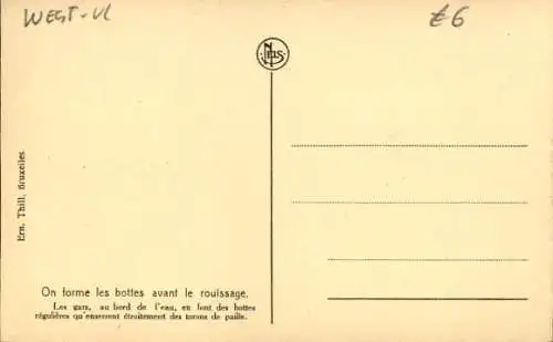 Ak Beim Anbau von Leinen formen wir die Bündel vor dem Rösten