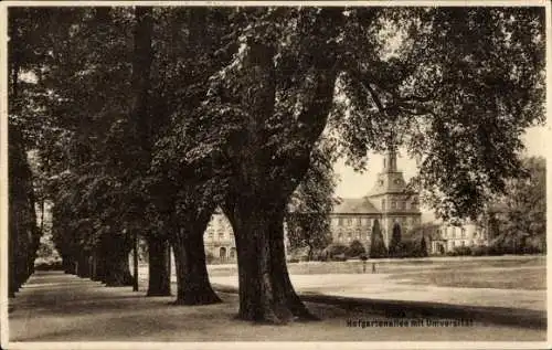 Ak Bonn am Rhein, Hofgartenwiese, Universität