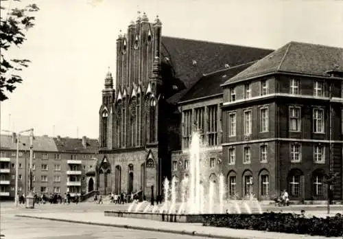 Ak Frankfurt an der Oder, Rathaus, Springbrunnen