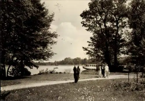 Ak Fürstenberg an der Havel, Blick vom Kulturpark, Schwedtsee