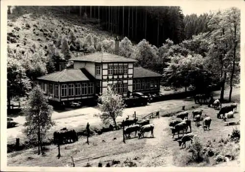 Ak Finsterbergen Friedrichroda Thüringen, Blick auf die Gaststätte Steigermühle, Kühe