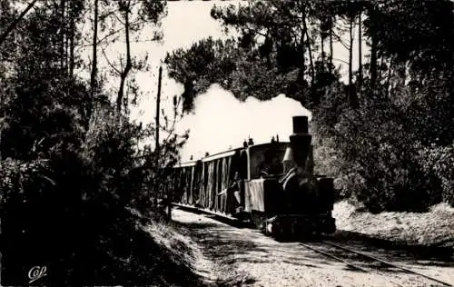 Ak Saint Palais sur Mer Charente Maritime, le Train en Foret