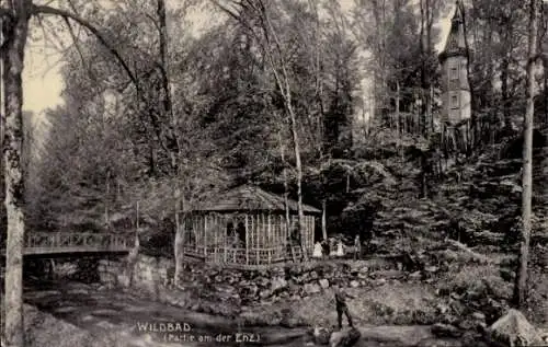 Ak Bad Wildbad im Schwarzwald, Enz, Wald, Brücke