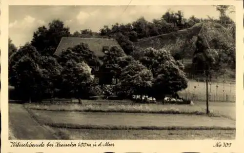 Ak Kreischa bei Dresden, Wilischbaude