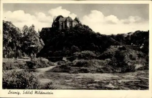 Ak Leisnig in Sachsen, Schloss Mildenstein