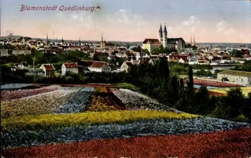 Ak Quedlinburg im Harz, Gesamtansicht, Blumenfeld