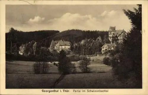 Ak Georgenthal in Thüringen, Schwimmbachtal