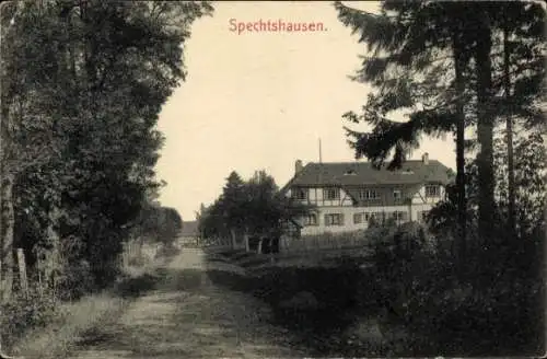 Ak Spechtshausen Hartha Hintergersdorf Tharandt im Erzgebirge, Blick über Weg auf Haus