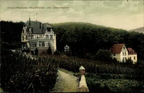 Ak Alf an der Mosel, Hotel-Pension Waldfrieden, Dependance