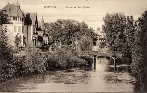 Ak Cottbus in der Niederlausitz, an der Spree, Brücke