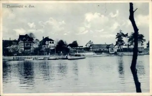 Ak Staré Splavy Thammühl Doksy Hirschberg am See Region Reichenberg, Teilansicht, Seeufer