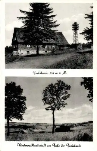 Ak Willingen im Westerwald, Fuchskaute, Landschaft