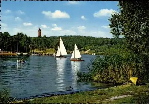 Ak Berlin Wilmersdorf Grunewald, Havel mit Grunewaldturm, Segelboote