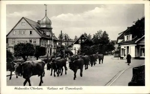 Ak Hahnenklee Bockswiese Goslar im Harz, Rathaus, Damenkapelle, Kühe