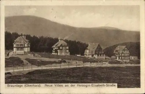 Ak Braunlage im Oberharz, Neue Villen, Herzogin Elisabeth Straße