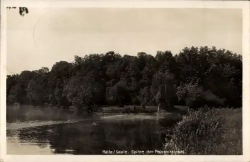 Ak Halle an der Saale, Spitze der Peissnitzinsel