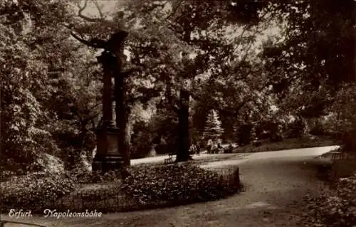 Foto Ak Erfurt in Thüringen, Napoleonshöhe