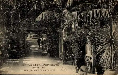 Ak Sintra Cintra Portugal, Monserrate rua que conduz ao palacio