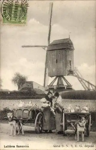 Ak Flämische Milchfrauen, Hundekarren, Windmühle