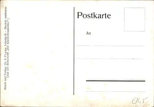 Ak Belgisches Riesenkaninchen, Rassekaninchen