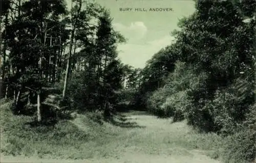 Ak Andover Hampshire England, Bury Hill