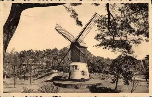 Ak Zoute Knokke Heist Westflandern, Villa, alte Windmühle