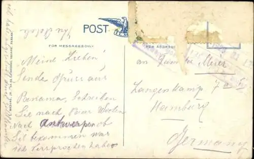 Ak Panama, Mann auf einer Palme, Krokodile