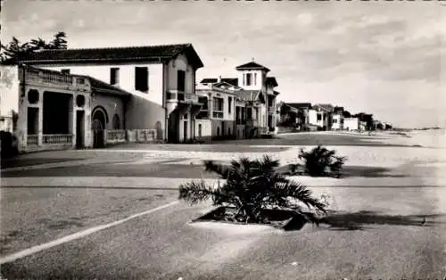 Ak Canet-Plage, Boulevard Maritime, cote Nord