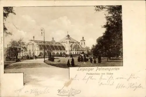 Ak Leipzig in Sachsen, Palmengarten, Palmenhaus von Süden