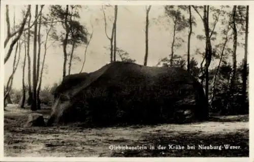 Ak Nienburg an der Weser, Giebichenstein in der Krähe