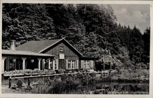 Ak Braunlage im Oberharz, Forellenteich