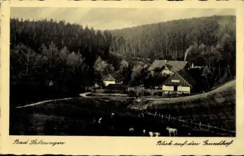 Ak Bad Salzungen in Thüringen, Blick auf den Grundhof