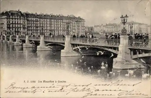 Ak Genf Genf Schweiz, Die Möwen am Pont du Mont Blanc