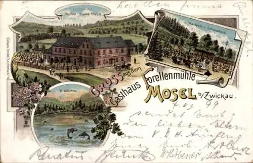 Litho Mosel Zwickau in Sachsen, Gasthaus Forellenmühle, Bes. Eduard Starke, Waldpark, Forellenteich