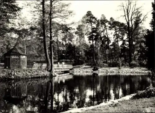 Ak Pieskow Bad Saarow in der Mark, Karpfenteich