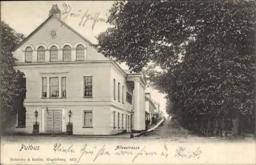 Ak Putbus auf der Insel Rügen, Alleestraße, Gebäude