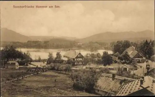 Ak Hamr na Jezeře Hammer am See Region Reichenberg, Gesamtansicht