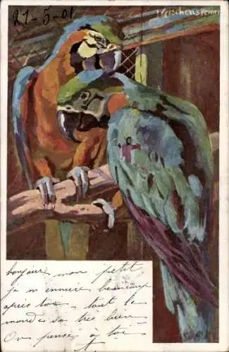 Künstler Ak Josef Kerschensteiner, Papageien