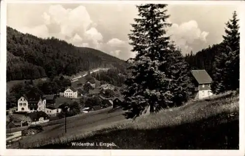 Ak Wildenthal Eibenstock im Erzgebirge, Panorama