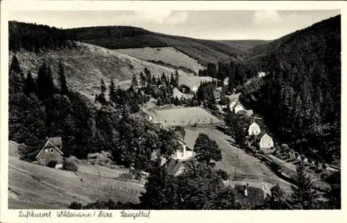 Ak Wildemann Clausthal Zellerfeld im Oberharz, Blick auf den Ort im Spiegeltal