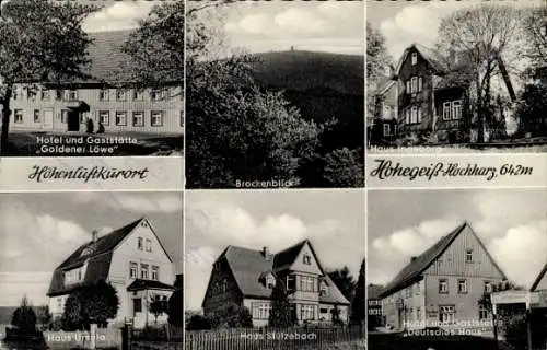 Ak Hohegeiß Braunlage im Oberharz, Hotel und Gaststätte Goldener Löwe, Brockenblick, Haus Ingeborg