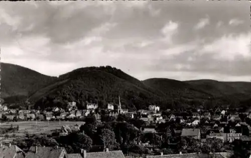 Ak Bad Harzburg am Harz, Gesamtansicht