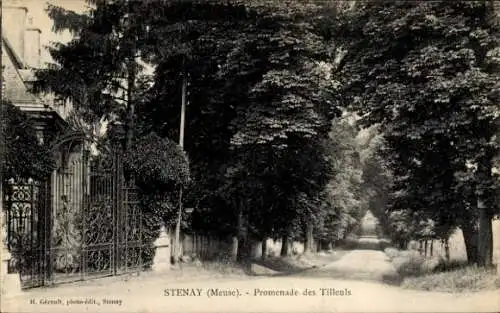 Ak Stenay Lorraine Meuse, Promenade des Tilleuls