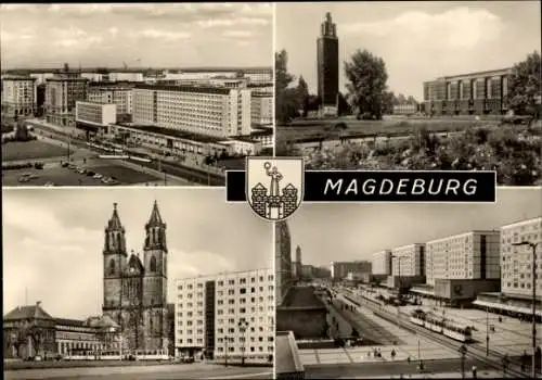 Ak Magdeburg an der Elbe, Otto-von-Guericke Straße, Dom, Karl-Marx-Straße, Park Rotehorn, Wappen